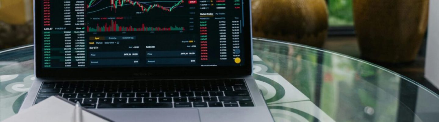 pexels-anntarazevich-14751274